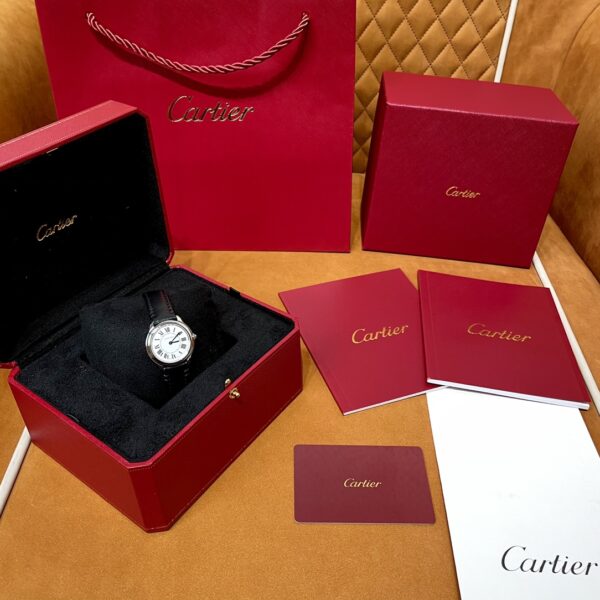1 Cartier WSRN0030 (29mm, Swiss Quartz Movement, Stainless Steel)