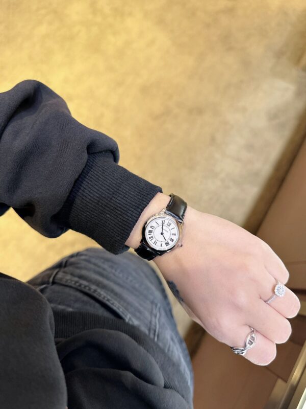 1 Cartier WSRN0030 (29mm, Swiss Quartz Movement, Stainless Steel)