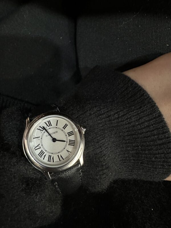 1 Cartier WSRN0030 (29mm, Swiss Quartz Movement, Stainless Steel)