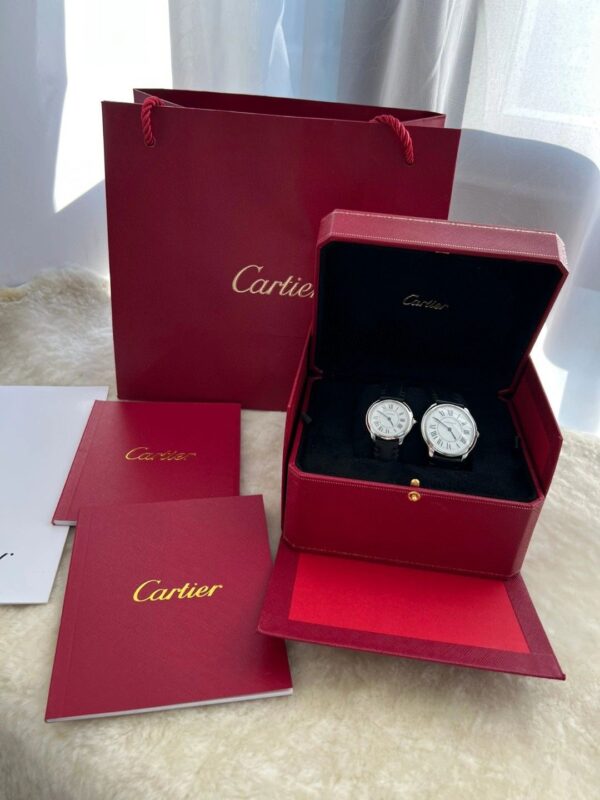 1 Cartier WSRN0030 (29mm, Swiss Quartz Movement, Stainless Steel)
