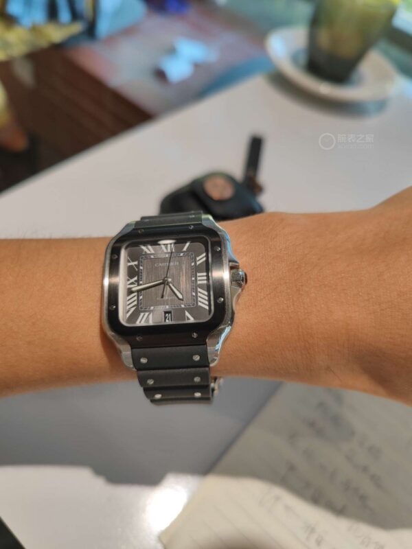 Cartier Santos Series WSSA0037 (Gradient Gray Dial, Automatic Movement, Stainless Steel, Multi-Faceted Spinel Crown)