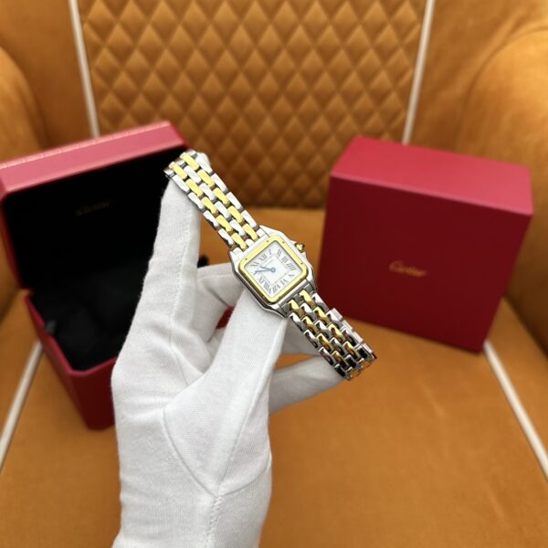 1 Cartier Leopard Series W2PN0007 (Medium Size, Steel & Rose Gold)