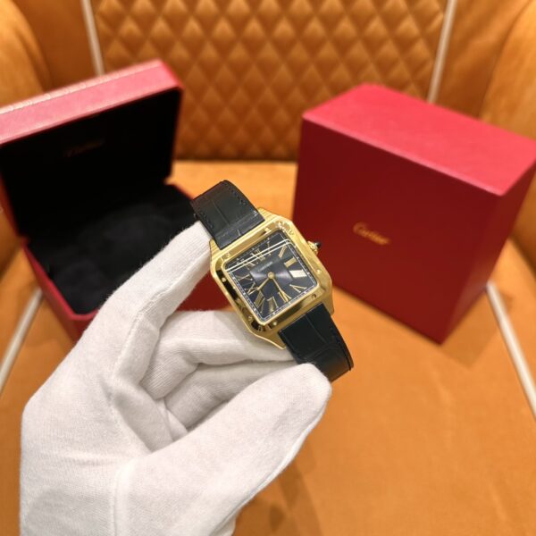 Cartier Santos-Dumont Series WGSA0077 (43.5mm, Gold Edition)