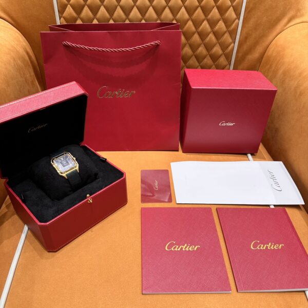 Cartier Santos-Dumont Series WGSA0077 (43.5mm, Gold Edition)