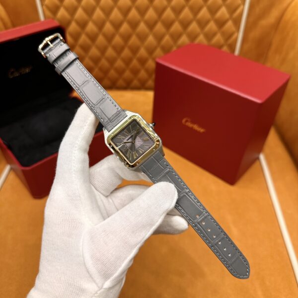 Cartier Santos-Dumont Series W2SA0028 (43.5mm, Gold & Steel Edition)