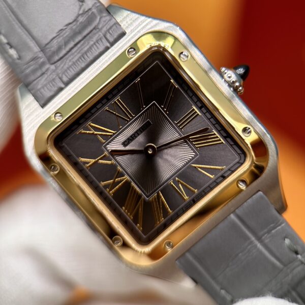 Cartier Santos-Dumont Series W2SA0028 (43.5mm, Gold & Steel Edition)