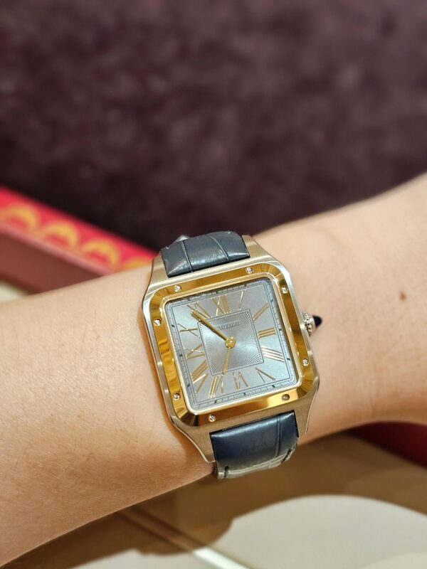 Cartier Santos-Dumont Series W2SA0028 (43.5mm, Gold & Steel Edition)