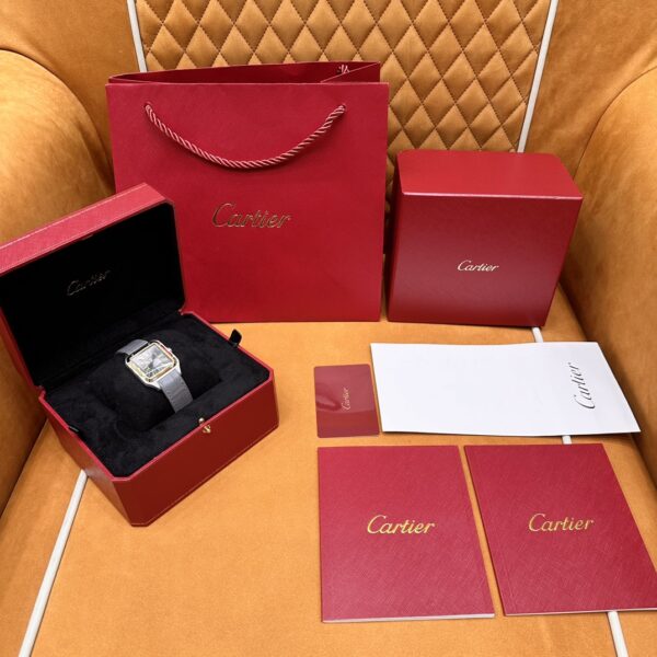 Cartier Santos-Dumont Series W2SA0028 (43.5mm, Gold & Steel Edition)