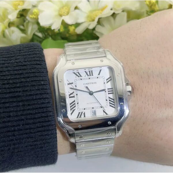 Cartier Santos Series WSSA0018 (Silver, Stainless Steel)
