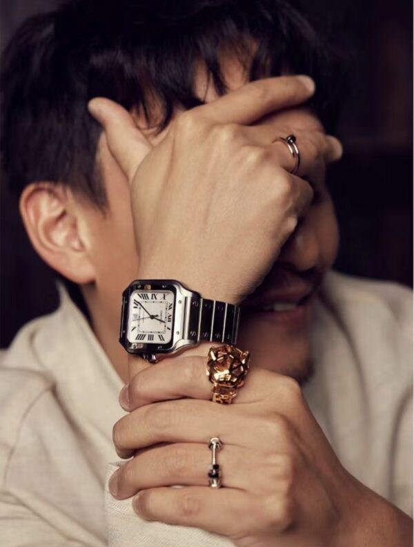 Cartier Santos Series WSSA0018 (Silver, Stainless Steel)