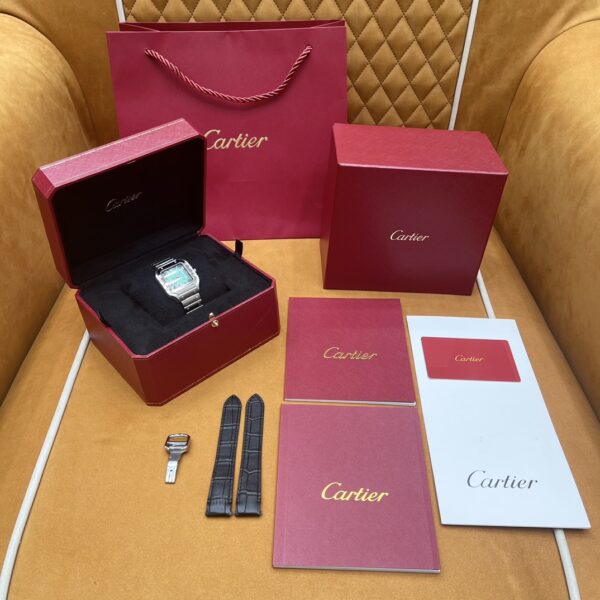Cartier Santos Series WSSA0061 (Medium Size, Stainless Steel, Smoky Green Dial)