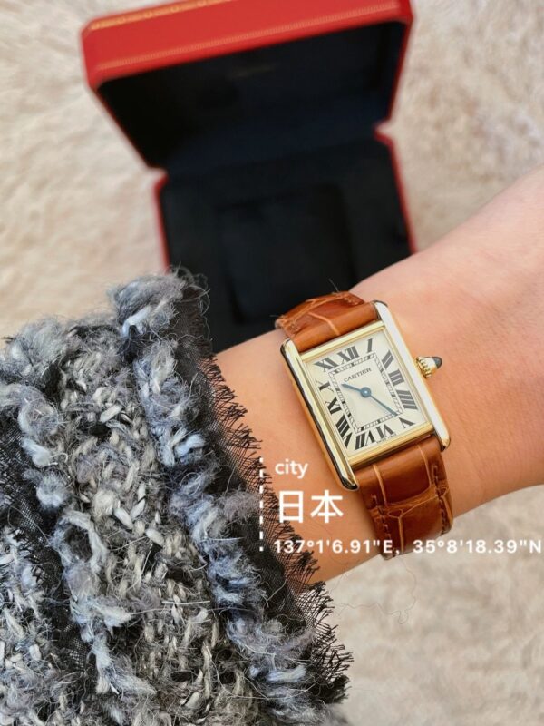 Cartier Tank Series W1529856 (Small, Stainless Steel, Pearl Silver Dial, Brown Crocodile Leather Strap)