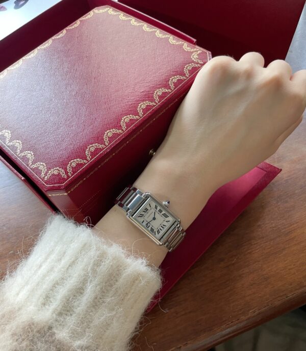 Cartier Tank Series WSTA0051 (Small, Stainless Steel, Pearl Silver Dial, Metal Strap)