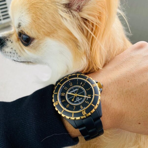 Chanel J12 Series H9541 (Ceramic & 18K Yellow Gold, Black Dial)