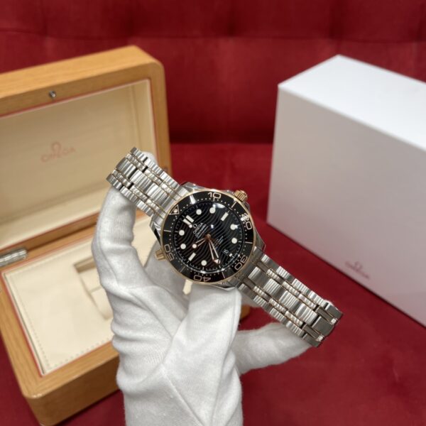 Omega Seamaster Diver 210.20.42.20.01.001 (Black Enamel Dial, 18K Rose Gold Case, Ceramic Bezel)