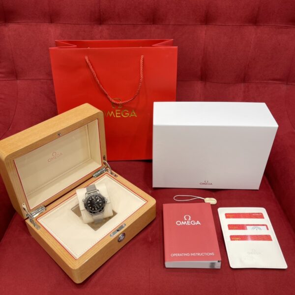 Omega Seamaster Diver 210.90.42.20.01.001 (Brown Aluminum Dial, Titanium Case, Ceramic Bezel)