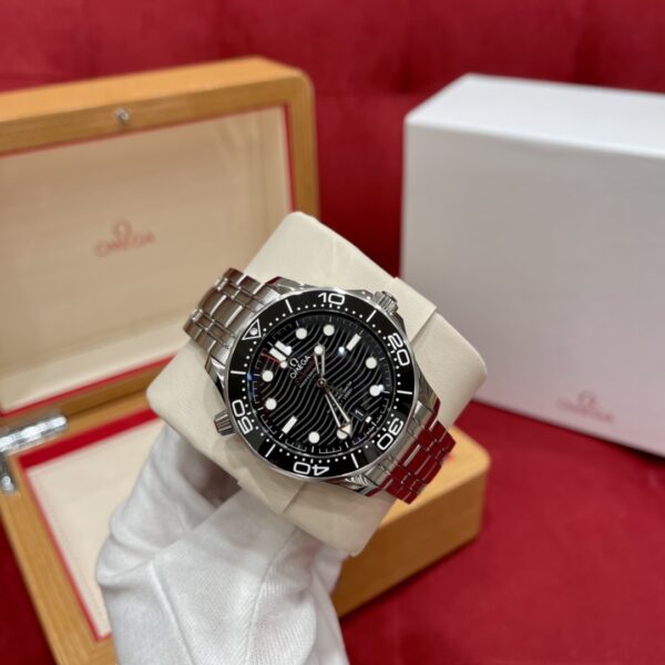 Omega Seamaster 210.30.42.20.01.001 (Black Ceramic, Stainless Steel)