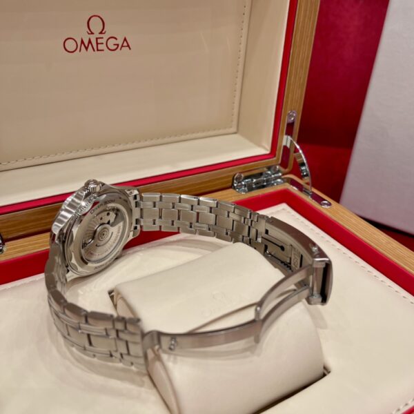 Omega Seamaster 210.30.42.20.01.001 (Black Ceramic, Stainless Steel)