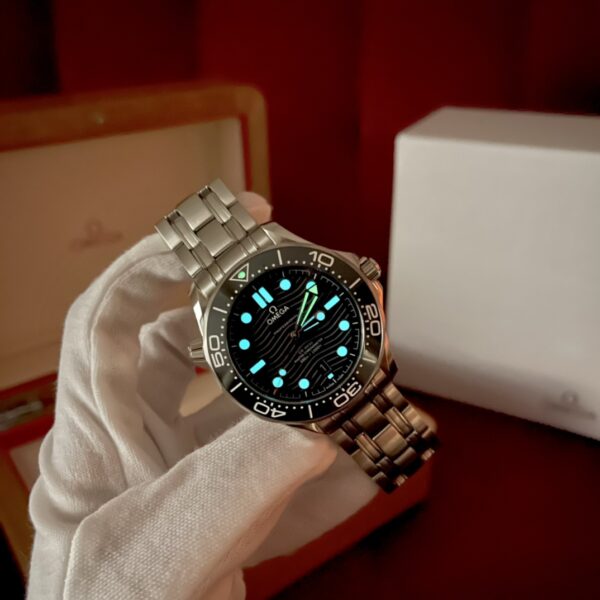 Omega Seamaster 210.30.42.20.01.001 (Black Ceramic, Stainless Steel)