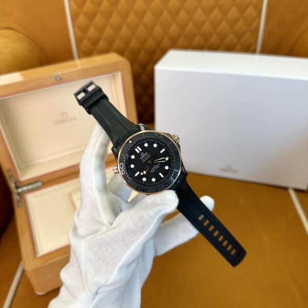 Omega Seamaster 210.62.44.20.01.001 (Black Ceramic, Titanium, Rose Gold)