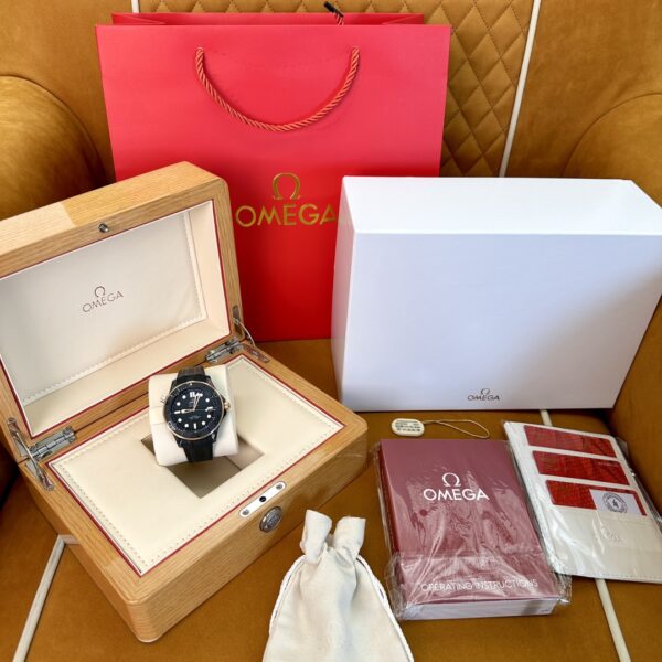Omega Seamaster 210.62.44.20.01.001 (Black Ceramic, Titanium, Rose Gold)