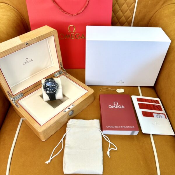 Omega Seamaster 210.92.44.20.01.001 (Black Ceramic, Titanium, White Enamel)