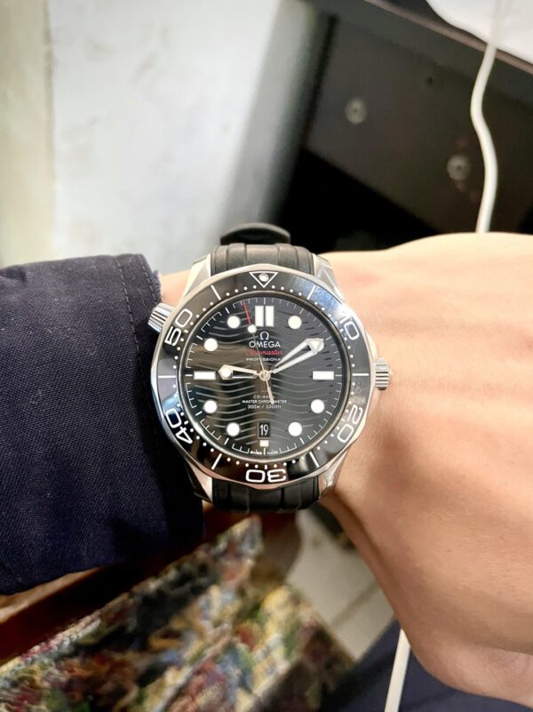 Omega Seamaster 210.30.42.20.01.001 (Black Ceramic, Stainless Steel)
