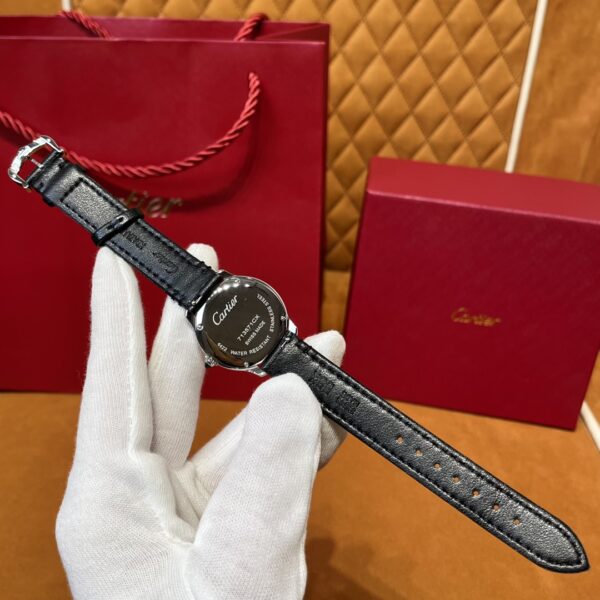 2 Cartier WSRN0030 (29mm, Swiss Quartz Movement, Stainless Steel)