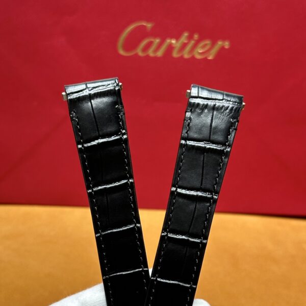 Cartier Santos Series WSSA0037 (Gradient Gray Dial, Automatic Movement, Stainless Steel, Multi-Faceted Spinel Crown)