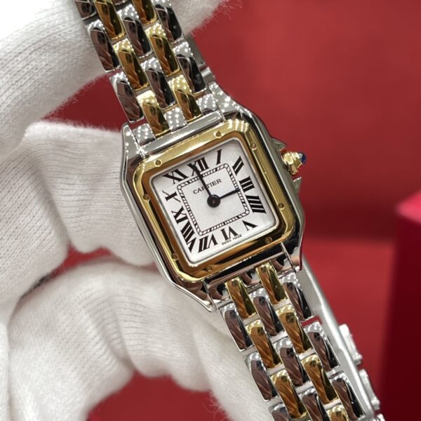 Cartier Leopard Series W2PN0006 (Small Size, Two-Tone Steel & Gold)