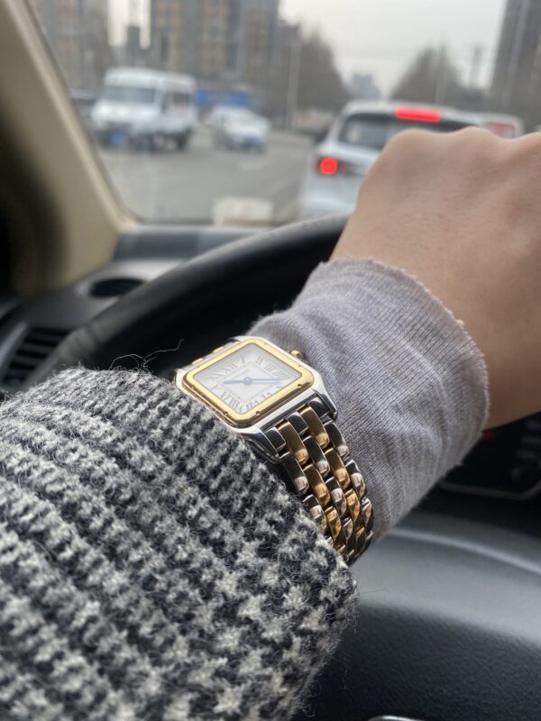 2 Cartier Leopard Series W2PN0007 (Medium Size, Steel & Rose Gold)