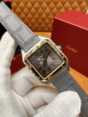 Cartier Santos-Dumont Series W2SA0028 (43.5mm, Gold & Steel Edition)
