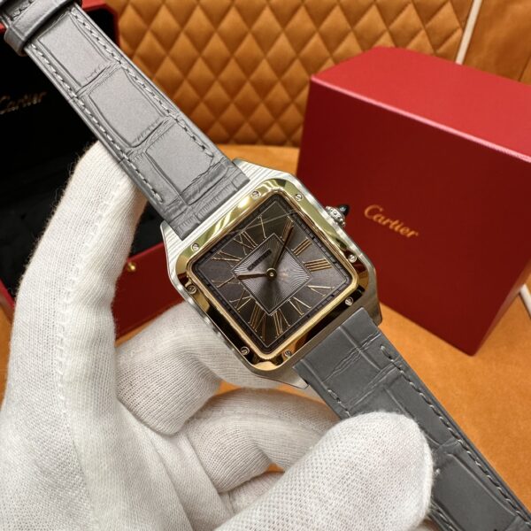 Cartier Santos-Dumont Series W2SA0028 (43.5mm, Gold & Steel Edition)