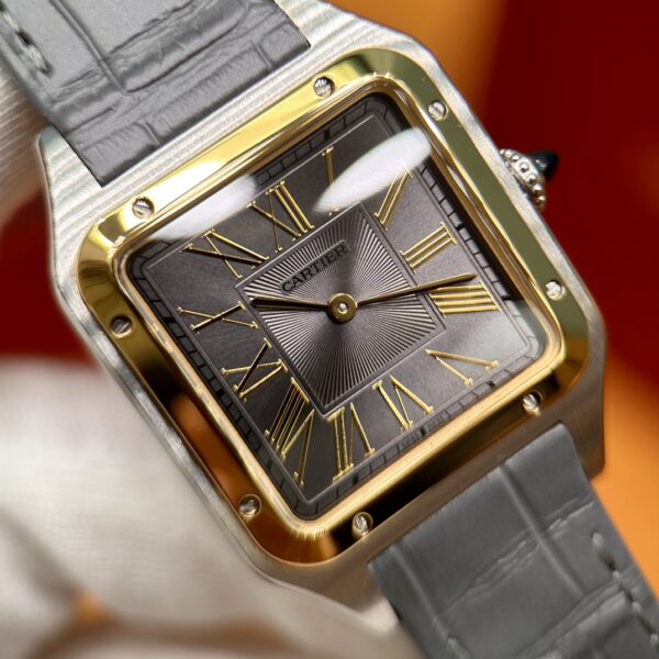 Cartier Santos-Dumont Series W2SA0028 (43.5mm, Gold & Steel Edition)