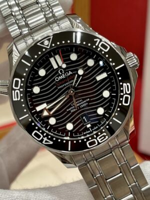 Omega Seamaster 210.30.42.20.01.001 (Black Ceramic, Stainless Steel)