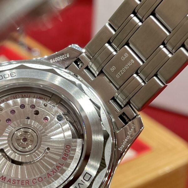 Omega Seamaster 210.30.42.20.01.001 (Black Ceramic, Stainless Steel)