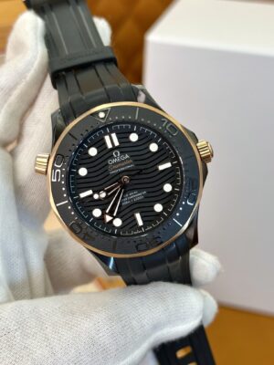Omega Seamaster 210.62.44.20.01.001 (Black Ceramic, Titanium, Rose Gold)