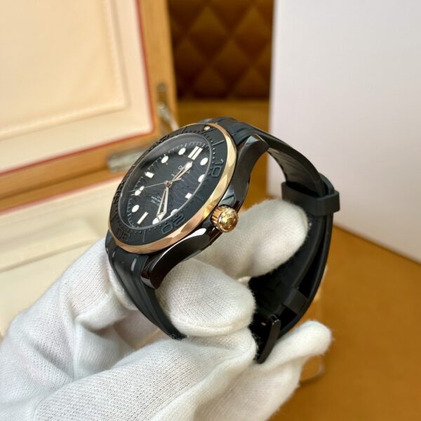 Omega Seamaster 210.62.44.20.01.001 (Black Ceramic, Titanium, Rose Gold)