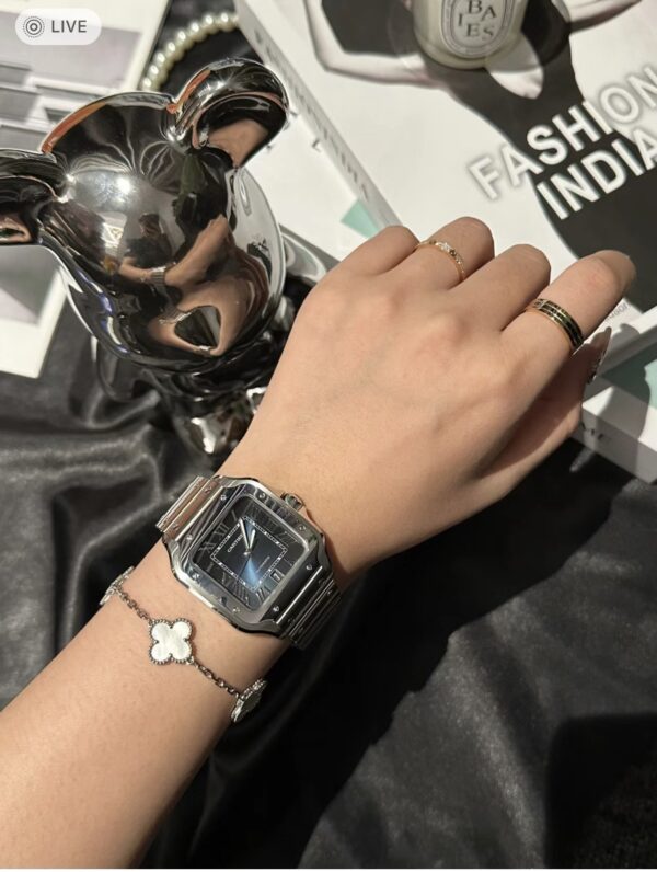 Cartier WSSA0030 (39.8mm, Automatic Movement, Stainless Steel)