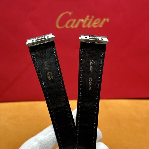 Cartier Santos Series WSSA0037 (Gradient Gray Dial, Automatic Movement, Stainless Steel, Multi-Faceted Spinel Crown)