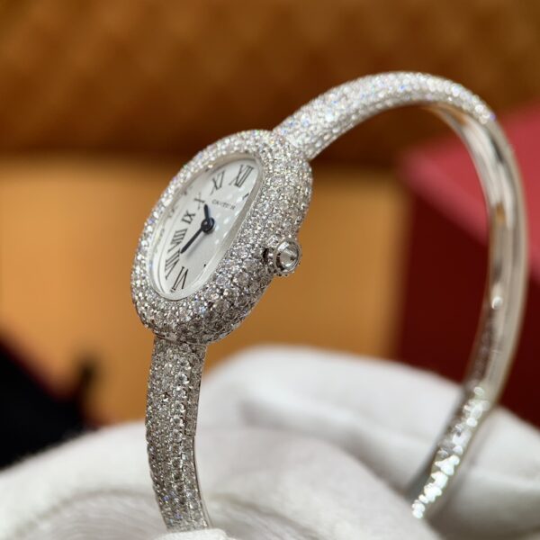 Cartier Baignoire Series HPI01607 (Platinum, Moissanite Diamond Inlay)