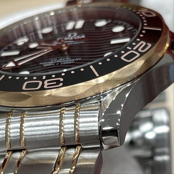Omega Seamaster Diver 210.20.42.20.01.001 (Black Enamel Dial, 18K Rose Gold Case, Ceramic Bezel)