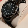 Omega Seamaster 210.92.44.20.01.001 (Black Ceramic, Titanium, White Enamel)