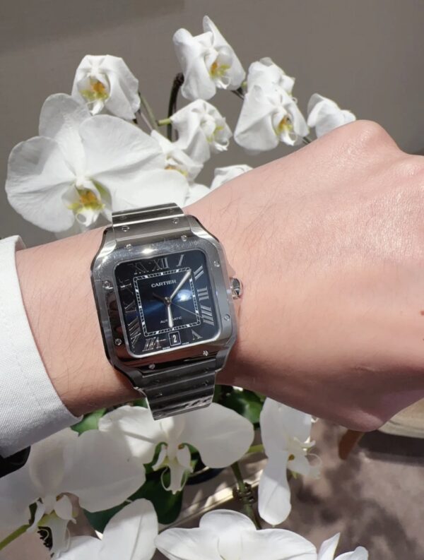 Cartier WSSA0030 (39.8mm, Automatic Movement, Stainless Steel)