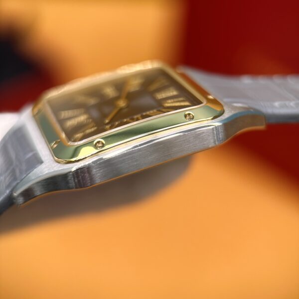 Cartier Santos-Dumont Series W2SA0028 (43.5mm, Gold & Steel Edition)