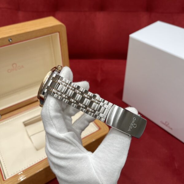 Omega Seamaster Diver 210.20.42.20.01.001 (Black Enamel Dial, 18K Rose Gold Case, Ceramic Bezel)