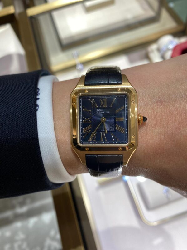 Cartier Santos-Dumont Series WGSA0077 (43.5mm, Gold Edition)