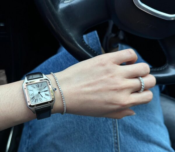 Cartier Santos Series WSSA0022 (Large Size, Stainless Steel with Blue Crocodile Leather Strap)