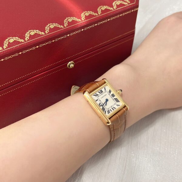 Cartier Tank Series W1529856 (Small, Stainless Steel, Pearl Silver Dial, Brown Crocodile Leather Strap)