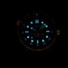 Omega Seamaster 210.62.44.20.01.001 (Black Ceramic, Titanium, Rose Gold)